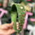 Christmas Silk Satin Flat Headband - Green