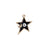Star-shaped pendant with black center, gold outline, and white circle on a white background