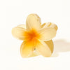 Yellow flower-shaped object on a white background